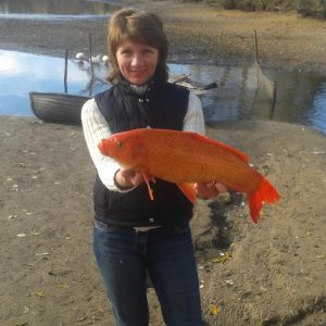 Елена Усенко